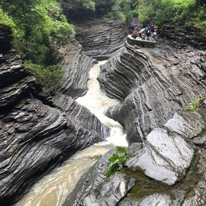 Meet your Posher, Joy